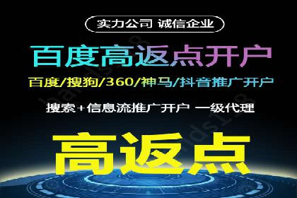 行业领先的SEM竞价广告投放案例